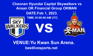 Cheonan Hyundai Capital Skywalkers vs Ansan OK Financial Group OKMAN