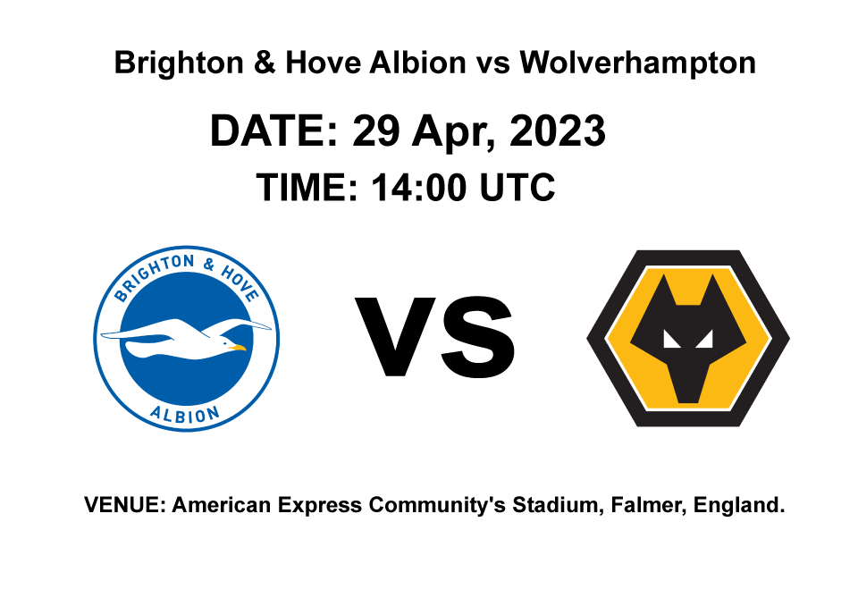 Brighton & Hove Albion vs Wolverhampton