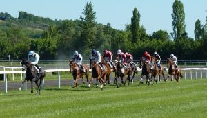 horse racing tips