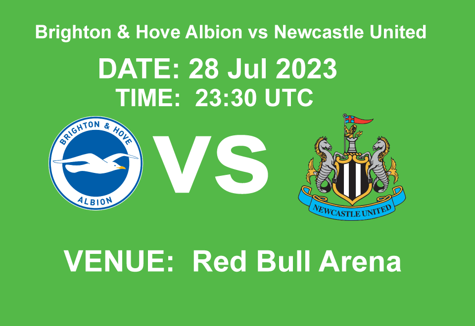  Brighton & Hove Albion vs Newcastle United