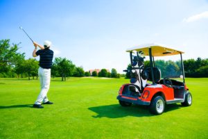 Icon Golf Cart Accessories