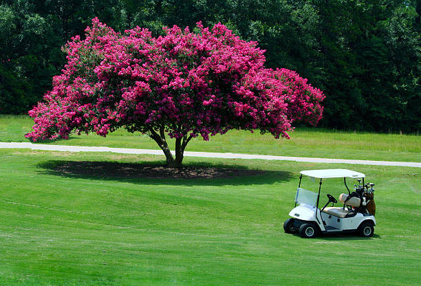 pink golf cart